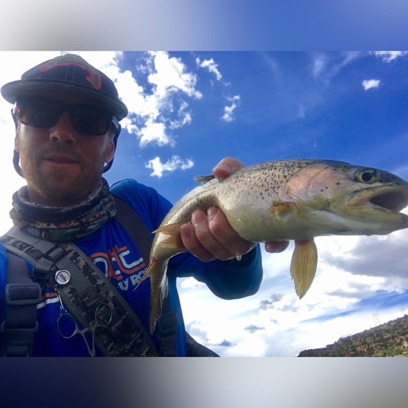 Meet your Posher, Greg - Picture 2 of 5